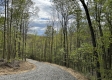 Stone Bluff Woods property photo