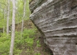Stone Bluff Woods property photo