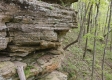 Stone Bluff Woods property photo