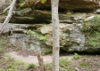 Stone Bluff Woods property photo