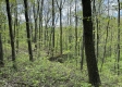 Stone Bluff Woods property photo