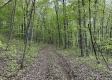 Stone Bluff Woods property photo
