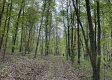 Stone Bluff Woods property photo