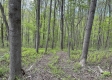 Stone Bluff Woods property photo