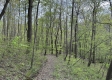 Stone Bluff Woods property photo
