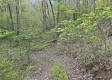 Stone Bluff Woods property photo