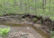 Stone Bluff Woods property photo