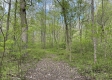Stone Bluff Woods property photo