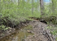 Stone Bluff Woods property photo