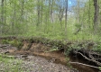 Stone Bluff Woods property photo