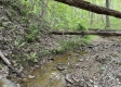 Stone Bluff Woods property photo