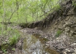 Stone Bluff Woods property photo
