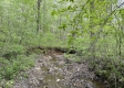Stone Bluff Woods property photo