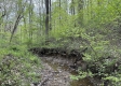 Stone Bluff Woods property photo