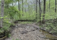 Stone Bluff Woods property photo