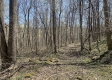 Tract 1 - The Woods at Potts Hill property photo