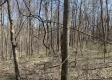 Tract 1 - The Woods at Potts Hill property photo