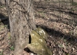 Tract 1 - The Woods at Potts Hill property photo