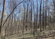 Tract 1 - The Woods at Potts Hill property photo