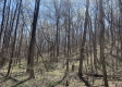 Tract 1 - The Woods at Potts Hill property photo