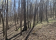 Tract 1 - The Woods at Potts Hill property photo