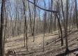 Tract 1 - The Woods at Potts Hill property photo