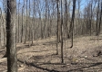 Tract 1 - The Woods at Potts Hill property photo