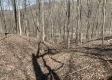 Tract 1 - The Woods at Potts Hill property photo
