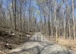 More of Tract 1 - The Woods at Potts Hill