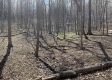 Tract 1 - The Woods at Potts Hill property photo