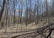 Tract 1 - The Woods at Potts Hill property photo