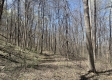 Tract 1 - The Woods at Potts Hill property photo