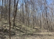Tract 1 - The Woods at Potts Hill property photo