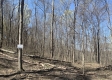 More of Tract 1 - The Woods at Potts Hill