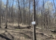 More of Tract 1 - The Woods at Potts Hill