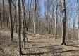 More of Tract 1 - The Woods at Potts Hill