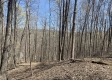 Tract 1 - The Woods at Potts Hill property photo