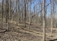 Tract 1 - The Woods at Potts Hill property photo