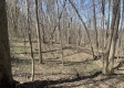 Tract 1 - The Woods at Potts Hill property photo