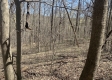 Tract 1 - The Woods at Potts Hill property photo