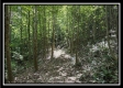 Tract C - The Woods at Tar Hollow property photo