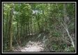 Tract C - The Woods at Tar Hollow property photo