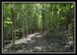 Tract C - The Woods at Tar Hollow property photo