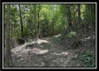 Tract C - The Woods at Tar Hollow property photo