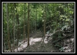 Tract C - The Woods at Tar Hollow property photo