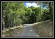 Tract C - The Woods at Tar Hollow property photo