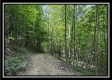 Tract C - The Woods at Tar Hollow property photo