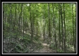 Tract C - The Woods at Tar Hollow property photo
