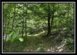 Tract C - The Woods at Tar Hollow property photo