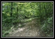 Tract C - The Woods at Tar Hollow property photo
